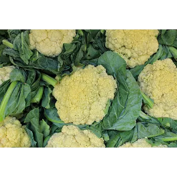 Frozen Cauliflower